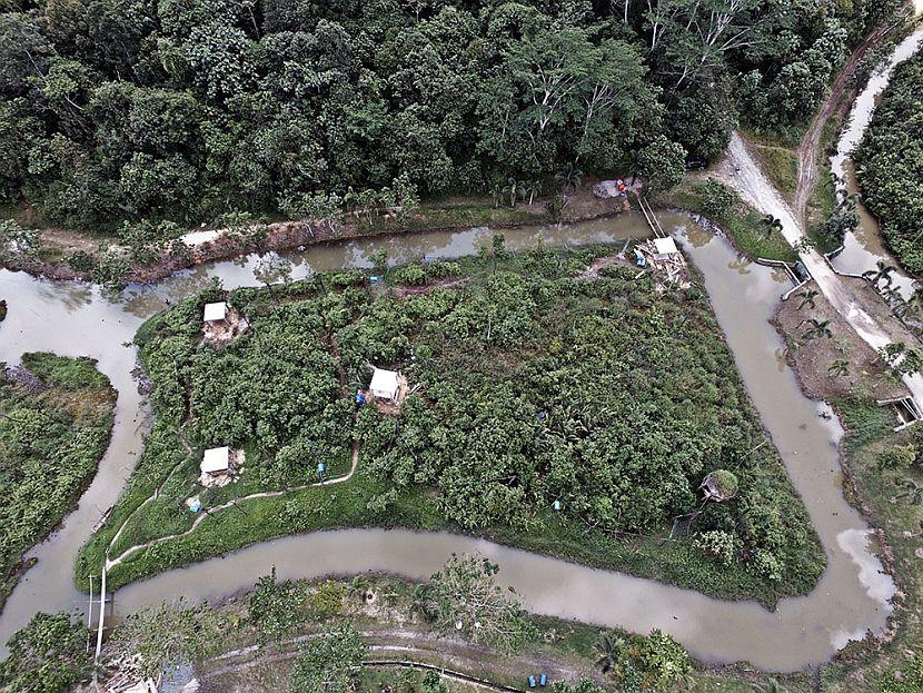 Orangutan Island in Borneo