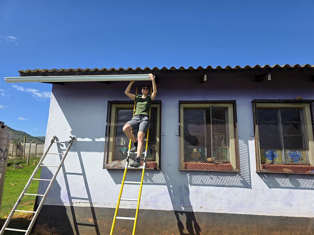 Painting Local School