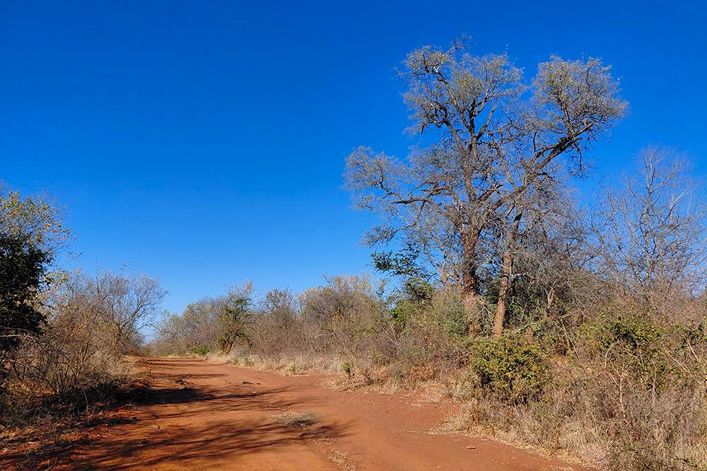 SanWild Reserve's Striking Scenery