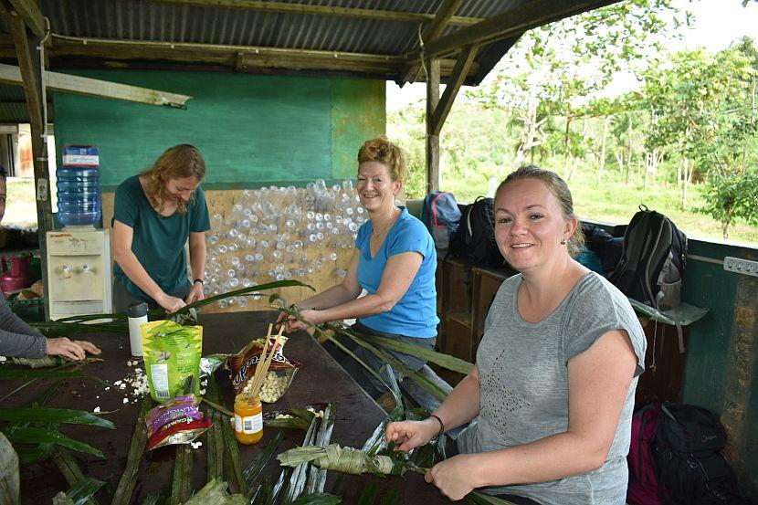 Volunteering with orangutans