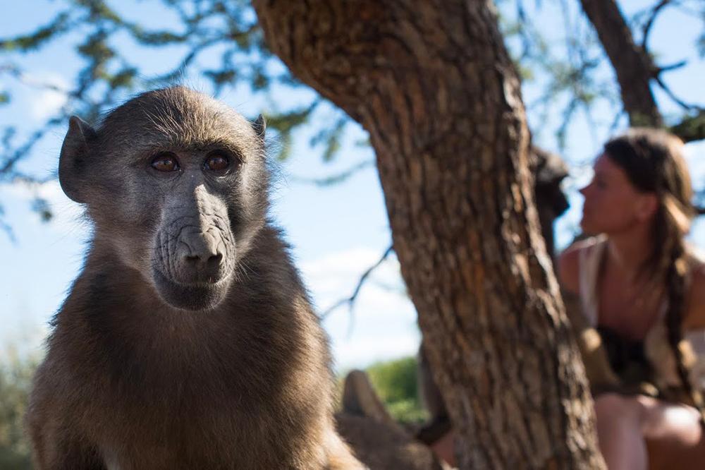 Namibia Wildlife Sanctuary