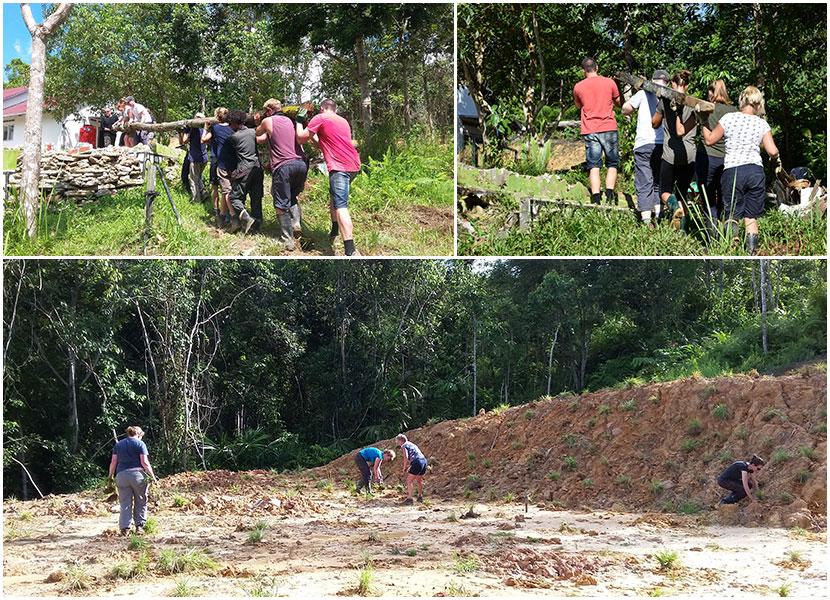 volunteers working abroad for orangutans in borneo 