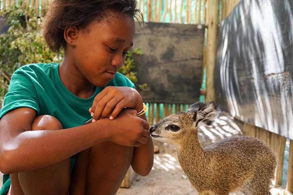 Wildlife Orphanage in South Africa