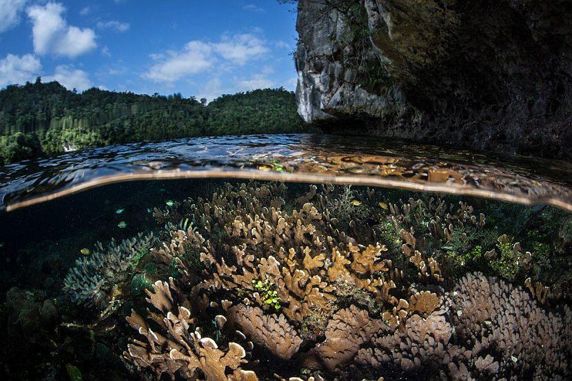 Raja Ampat