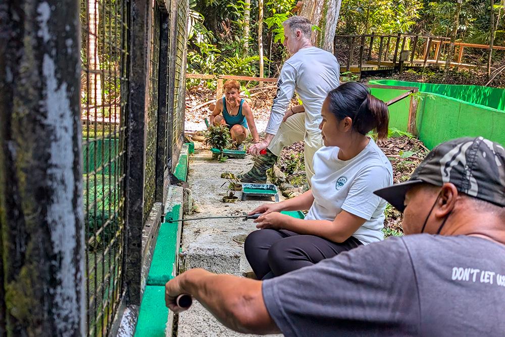 Orangutan Volunteers Helping at Matang Wildlife Centre