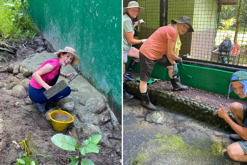 Volunteers on The Great Orangutan Project