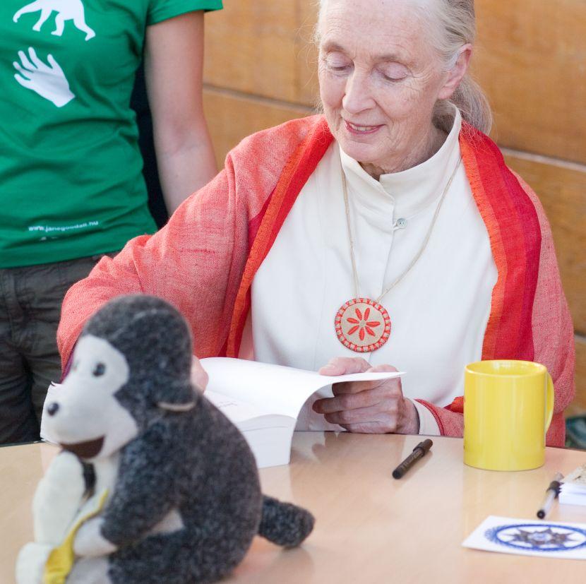 Jane Goodall 