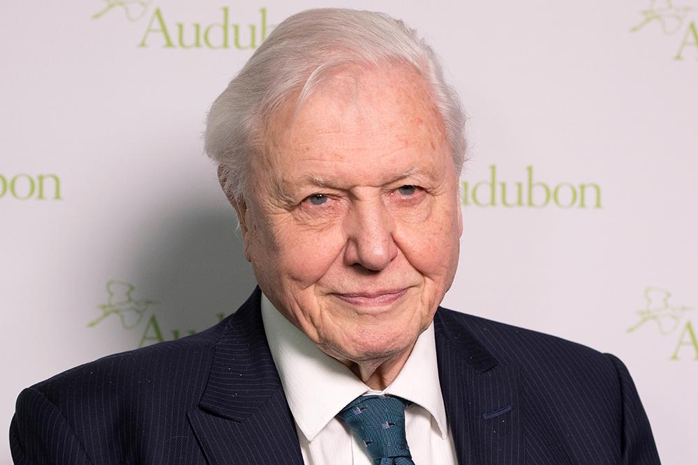 Happy Birthday Sir David Attenborough